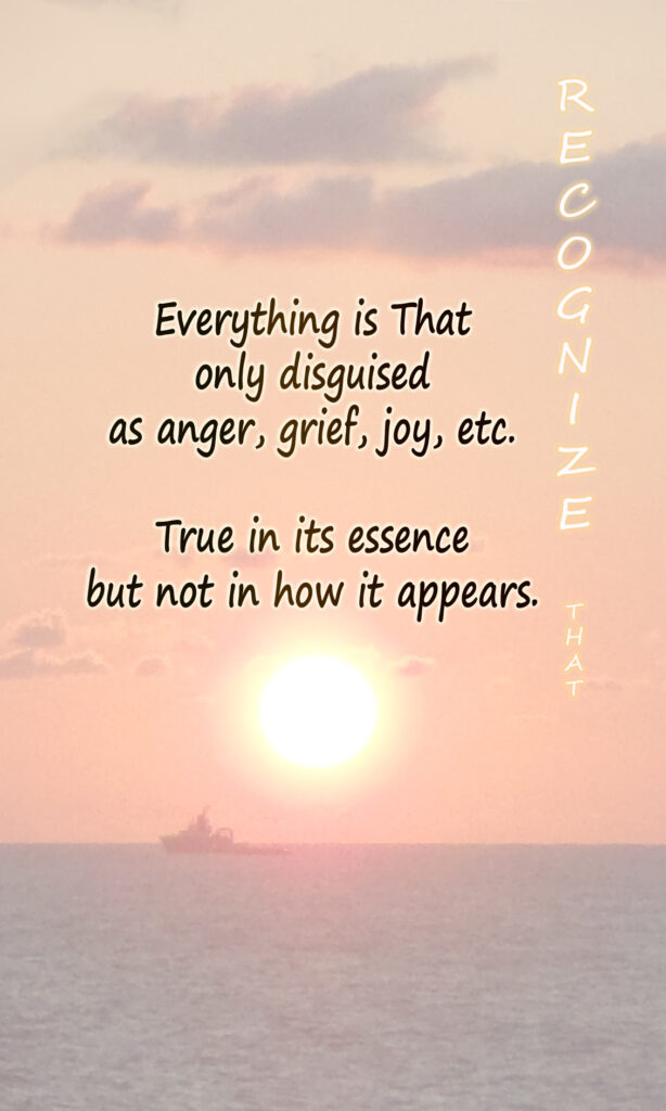 Pointing card: Everything is That — only disguised as anger, grief, joy, etc.