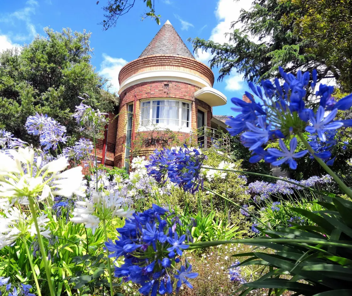 Nonduality meetings in person at Sailor Bob and Kat's home — Melbourne, Australia